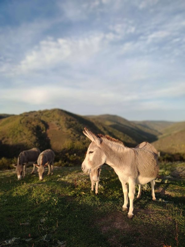 Vue sur la vallée avec Vénus